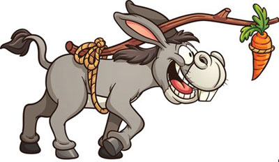 donkey-carrot.jpg